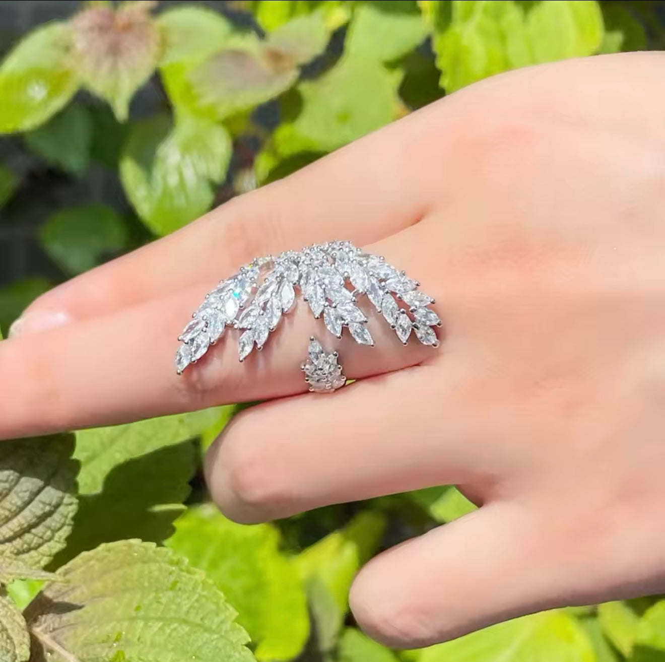 Stellar Ring