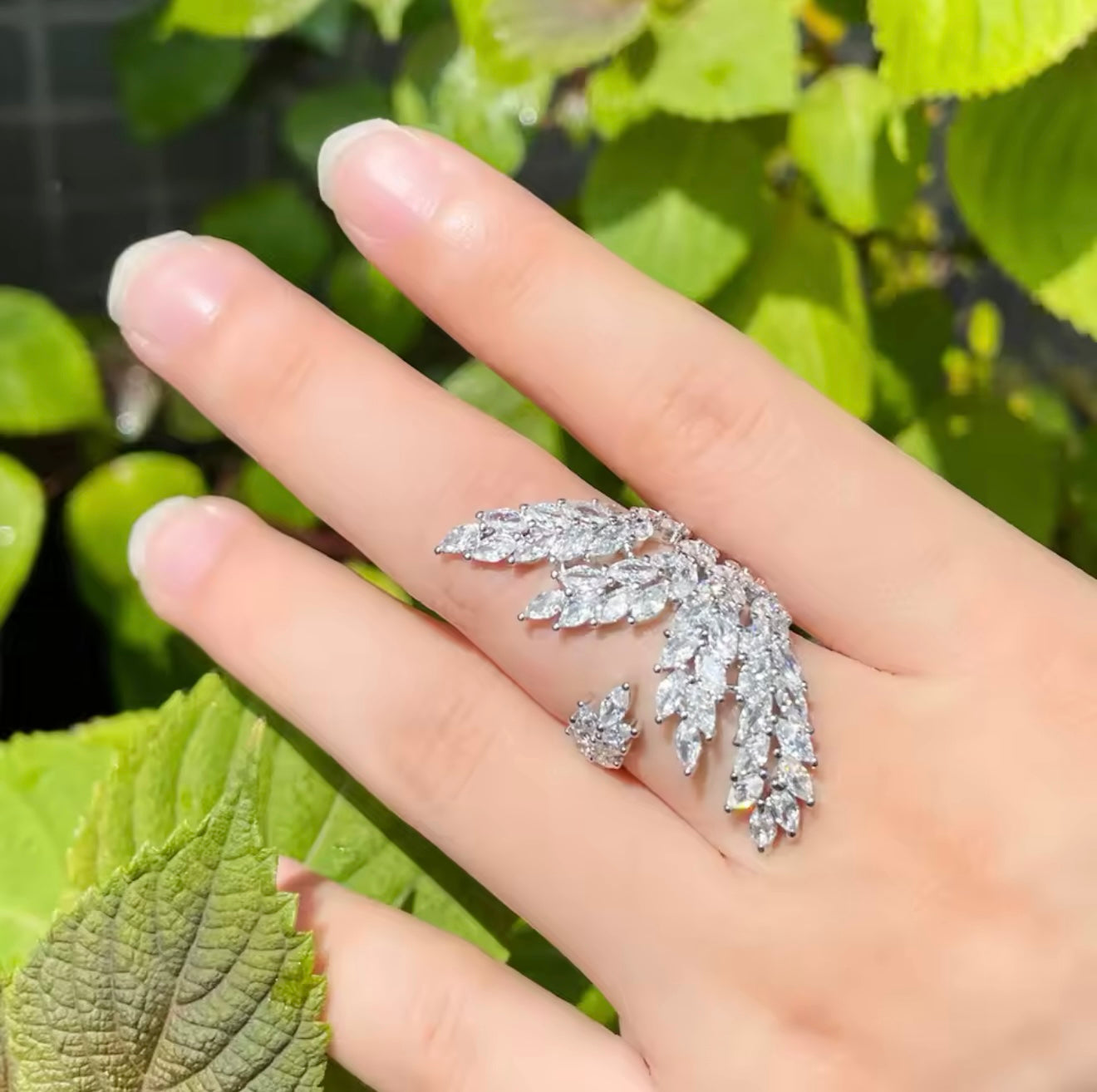 Stellar Ring